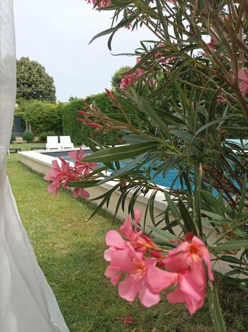 Le Cabanon Tendance Du Luberon Mérindol 外观 照片